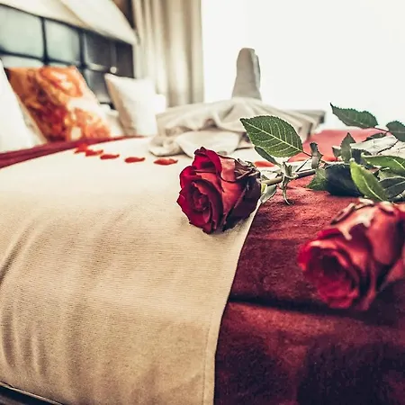 Alfons Boutique 4* פראג