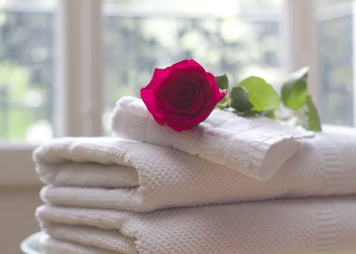 Alfons Boutique Praga